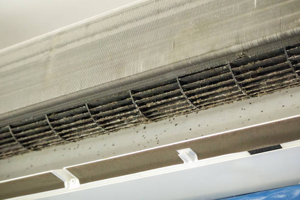 Best Air Duct Cleaning Near Me  in Washburn, WI